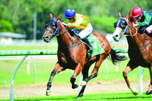 Nice guy Harold just keeps on winning