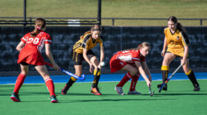 Junior revival hopes after epic hockey year