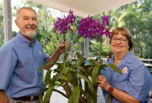Dazzling orchids for show Spectacular