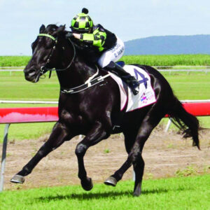 Jokic’s dual life as jockey and trainer