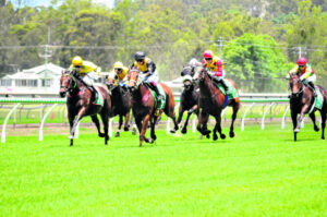 Mayfield-Smith boosted by the hope of horses