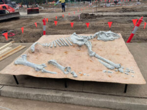 Final touches to Colleges Crossing