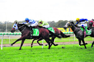 Bayliss works hard to make late ride pay off