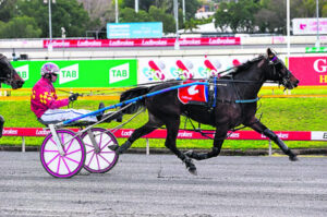 Border Trots 2nd August 2023