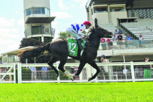 Wishart willing to put in the hard yards