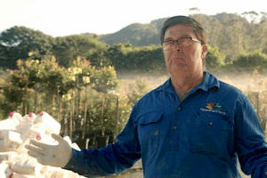 Nursery boss broken by NFAEP bureaucracy