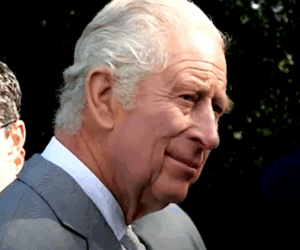 Pupil receives reply from the King over forest plea