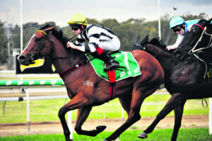 Ipswich Racing: Edmonds says winner good but could be better