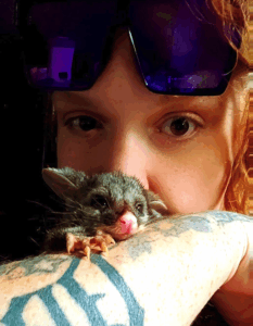 Diary of wildlife rescuer: 4am starts, 1,000km drives