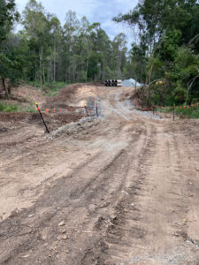 Springfield City Group leaves forest a mess