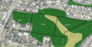 More homes in pipeline on koala habitat