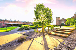 What’s On In Ipswich 18th September 2024