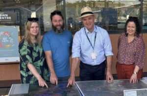 Health inquiry – have your say now