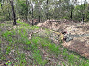 Mass plantings improve state of waterways