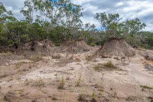 State Government ignores bones discovery