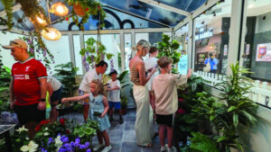 Triangle House bring you Butterfly House (Get your ARTS into Gear)