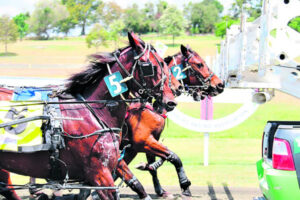 Border Trots 14th June, 2023