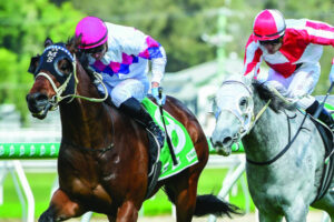 Noel’s motto is simple: Happy horse, happy life