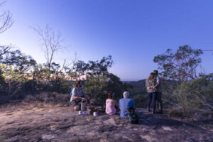 Nature corridors preserved under new town plan