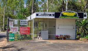 Minister vows swift response on Willowbank safety