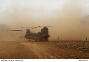 New exhibition takes flight