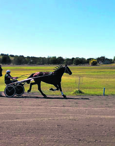 Border Trots 1st February 2023