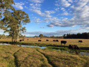 State hints at ditching Scott’s Farm school plan