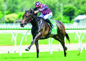 Jasper is on the right track for success