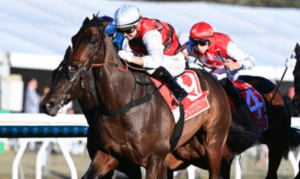 Cup numbers drop off a cliff in five years