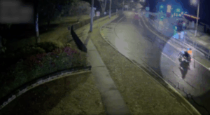 CCTV footage released in Brassall armed robbery