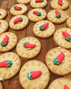 “We did our best” Ipswich Chilli Festival battled against wet weather