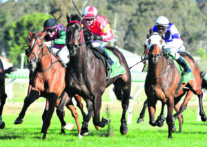 First win for the Taplins’ new stable