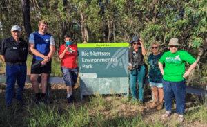 AI technology to help track koalas