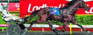 Border Trots 7th February 2024