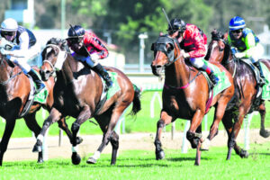 Horse racing is family fun for Costello