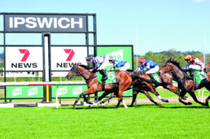 Trainer looks for support for Toowoomba stable