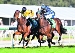 Red Wave surges to Ipswich Cup success