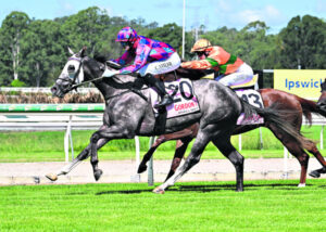 Soon-to-be Aussie Cobi set to succeed