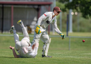 Spectacular all-round effort has Hornets primed for finals