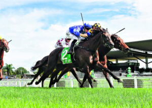 Grant’s ‘surreal’ time with the Black Flash