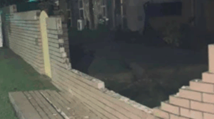 Council reviewing Goodna blackspot safety measures