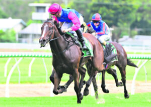 Love of horses pulls Paul back on track