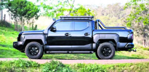 Tasman to take on big players