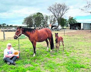 Border Trots 27th September 2023