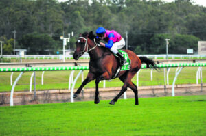 Kemp considers country cups with well-bred lad