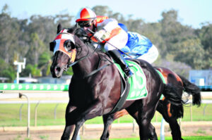 Wishart wins first-up on stayer for former boss