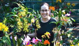 The weird and wonderful world of orchids