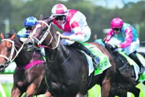 Corey learns from the best on equine journey