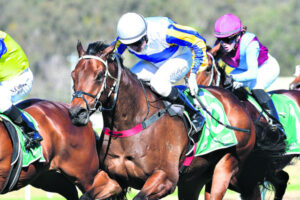 Win stirs emotion for love-struck strapper