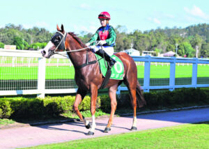 Graham ready to ride to the top